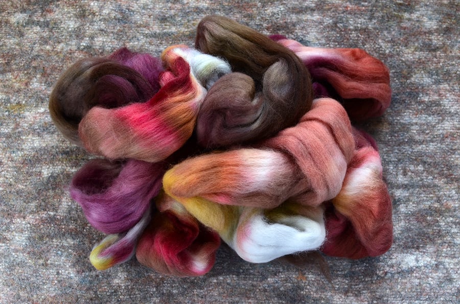 Image of "Every Waking Moment" South American Wool Spinning Fiber - 4 oz.