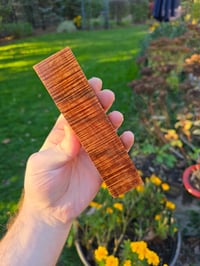 Image 2 of Tasmanian Blackwood 81