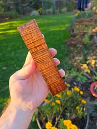 Image 1 of Tasmanian Blackwood 81