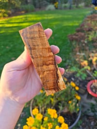 Image 1 of Tasmanian Blackwood 82 