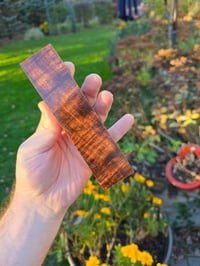 Image 4 of Tasmanian Blackwood 83 