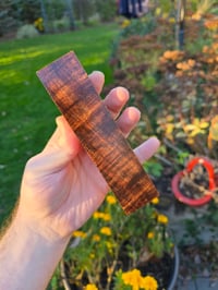 Image 1 of Tasmanian Blackwood 83 