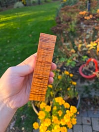 Image 3 of Tasmanian Blackwood 84