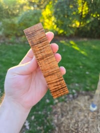 Image 1 of Tasmanian Blackwood 84