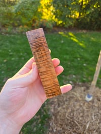 Image 2 of Tasmanian Blackwood 84