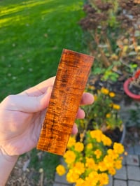 Image 1 of Tasmanian Blackwood 85