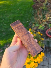 Image 2 of Tasmanian Blackwood 85