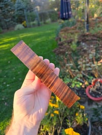 Image 2 of Tasmanian Blackwood 86