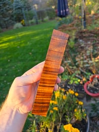 Image 1 of Tasmanian Blackwood 86