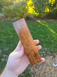 Image 3 of Tasmanian Blackwood 87