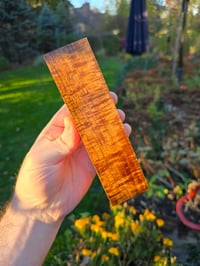 Image 2 of Tasmanian Blackwood 87