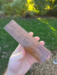 Image 4 of Tasmanian Blackwood 87