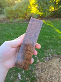 Image 5 of Tasmanian Blackwood 87