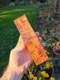 Image 1 of Tasmanian Blackwood 87