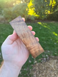 Image 3 of Tasmanian Blackwood 88