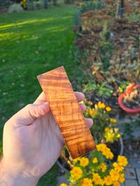 Image 1 of Tasmanian Blackwood 88