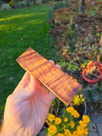 Image 2 of Tasmanian Blackwood 88