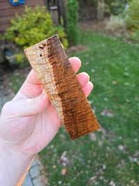 Image 1 of Tasmanian Blackwood 89