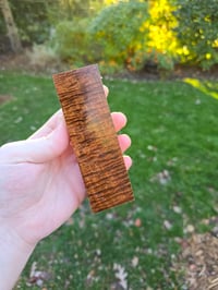 Image 2 of Tasmanian Blackwood 89