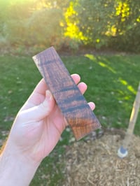 Image 4 of Tasmanian Blackwood 90