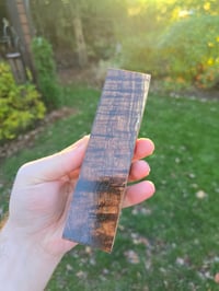 Image 1 of Tasmanian Blackwood 90