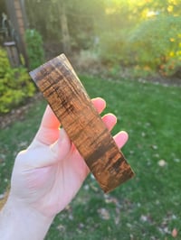 Image 3 of Tasmanian Blackwood 90
