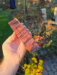 Image 2 of Tasmanian Blackwood 90