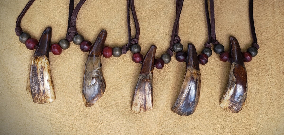 Image of Buffalo Tooth Pendant