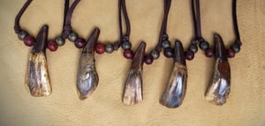 Image of Buffalo Tooth Pendant