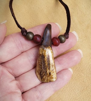 Image of Buffalo Tooth Pendant