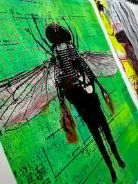 Image 2 of The Fly