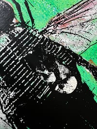 Image 3 of The Fly