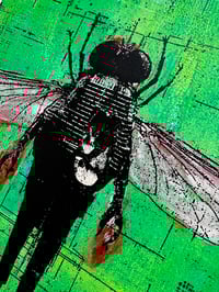 Image 4 of The Fly