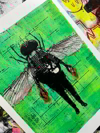 Image 5 of The Fly