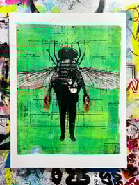 Image 1 of The Fly
