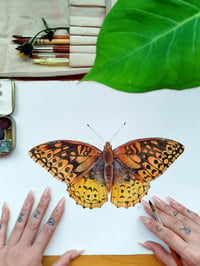 Image 1 of Great Spangled Fritillary Butterfly ORIGINAL ARTWORK 