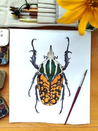 Image 2 of African Fruit Beetle ORIGINAL ARTWORK 