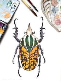 Image 1 of African Fruit Beetle ORIGINAL ARTWORK 