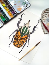 Image 3 of African Fruit Beetle ORIGINAL ARTWORK 