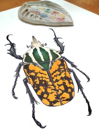 Image 4 of African Fruit Beetle ORIGINAL ARTWORK 