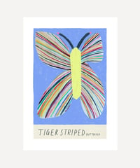 Image 3 of Tiger Striped Butterfly