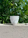 set of 2 green brush bowls