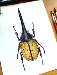 Image 2 of Hercules Beetle (Black head) ORIGINAL ARTWORK 