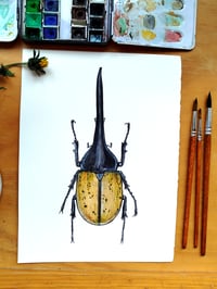 Image 3 of Hercules Beetle (Black head) ORIGINAL ARTWORK 