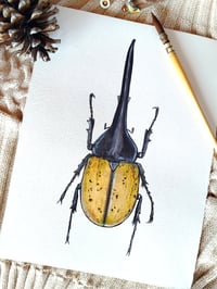 Image 1 of Hercules Beetle (Black head) ORIGINAL ARTWORK 