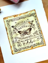 Image 1 of Antique Entomology Flyer ORIGINAL ARTWORK 