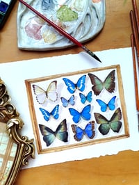 Image 1 of Butterflies Display ORIGINAL ARTWORK 