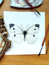 Cabbage Butterfly ORIGINAL ARTWORK 