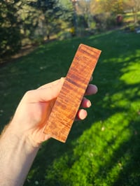 Image 2 of Tasmanian Blackwood 91