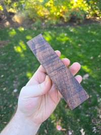 Image 3 of Tasmanian Blackwood 91